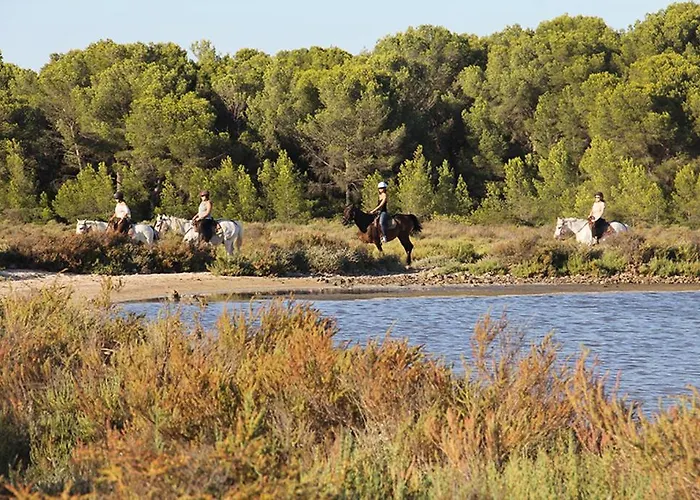 Villa Jolie Bord De Acces Direct *